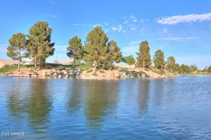 45574 W Tulip Ln, Maricopa, AZ 85139 - Photo 47