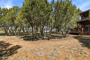 2770 Apollo Cir, Overgaard, AZ 85933 - Photo 31