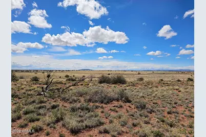 Tbd Chev Cyn Ranch #3 Lot 461 --, Heber, AZ 85928 - Photo 7