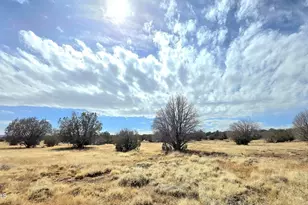 8495 W Antelope Run Rd, Ash Fork, AZ 86320 - Photo 39
