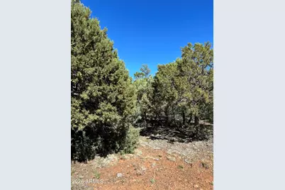 5459 Gray Wolf Drive #46, Lakeside, AZ 85929 - Photo 3