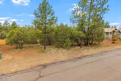 5459 Gray Wolf Drive #46, Lakeside, AZ 85929 - Photo 3