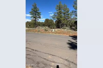 5459 Gray Wolf Drive #46, Lakeside, AZ 85929 - Photo 5