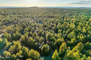 3824 W Bermuda Cir, Pinetop, AZ 85935 - Photo 39