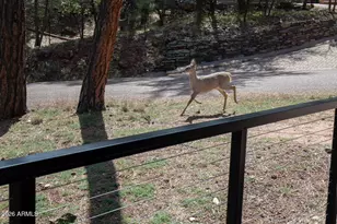 6456 W Kenny Circle, Pine, AZ 85544 - Photo 43