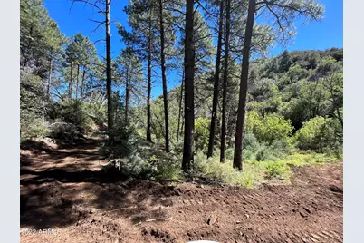 00 S Alexandra Road #-, Crown King, AZ 86343 - Photo 1