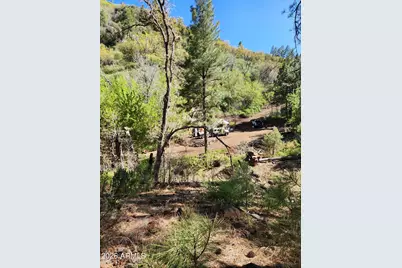 00 S Alexandra Road #-, Crown King, AZ 86343 - Photo 9