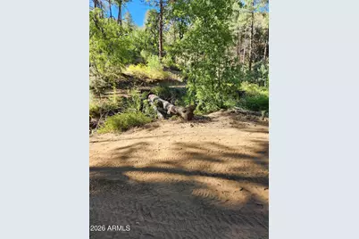 00 S Alexandra Road #-, Crown King, AZ 86343 - Photo 11