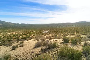 30343 Alpine Ranch --, Flagstaff, AZ 86004 - Photo 11