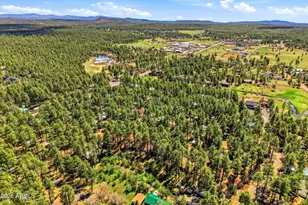 1762 Anglers Rd, Lakeside, AZ 85929 - Photo 29