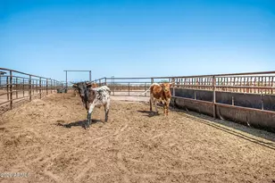 21226 W Galvin St, Wittmann, AZ 85361 - Photo 29