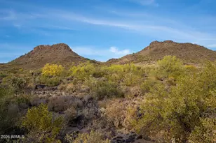 6329 W Honeysuckle Dr, Phoenix, AZ 85083 - Photo 43