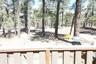 6612 Lynx Ln, Flagstaff, AZ 86004 - Photo 47