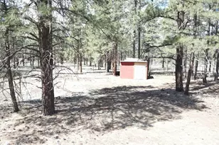 6612 Lynx Ln, Flagstaff, AZ 86004 - Photo 41