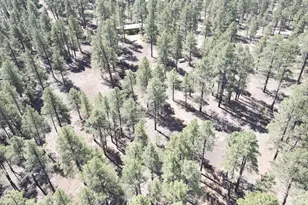 6612 Lynx Ln, Flagstaff, AZ 86004 - Photo 39