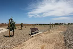 340 W Floyd Dr, San Tan Valley, AZ 85140 - Photo 27