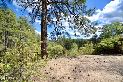 23277 S Demascus Road, Crown King, AZ 86343 - Photo 13