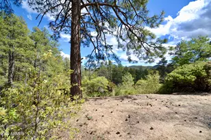 23277 S Demascus Rd, Crown King, AZ 86343 - Photo 13