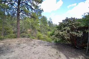 23277 S Demascus Rd, Crown King, AZ 86343 - Photo 41