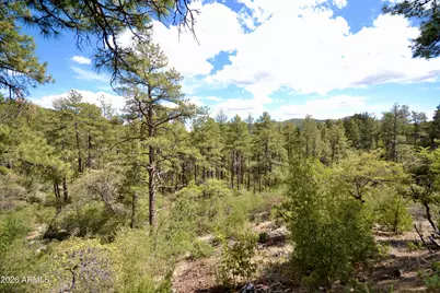 23277 S Demascus Road, Crown King, AZ 86343 - Photo 37