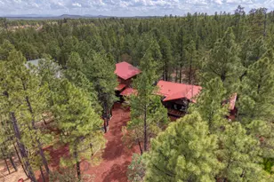 3623 Bear Trail, Lakeside, AZ 85929 - Photo 71