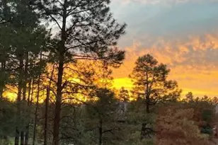 4375 E Burning Tree Loop, Flagstaff, AZ 86004 - Photo 9