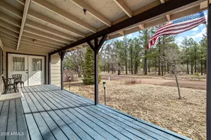 552 Rim Dr, Pinedale, AZ 85934 - Photo 13