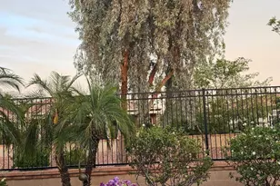 23135 N Calle Real Dr, Sun City West, AZ 85375 - Photo 71