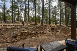 3427 Apache Dr, Happy Jack, AZ 86024 - Photo 39