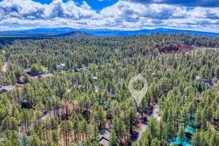 3523 Turkey Track Rd, Pinetop, AZ 85935 - Photo 23