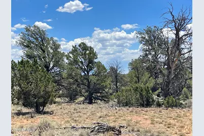 5785 N Muytala Drive #96, Williams, AZ 86046 - Photo 15