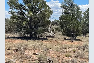 5785 N Muytala Drive #96, Williams, AZ 86046 - Photo 11
