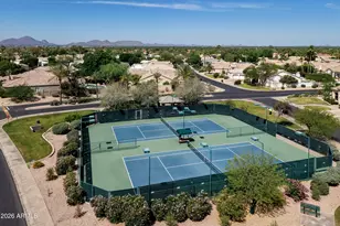 11233 E Del Timbre Dr, Scottsdale, AZ 85259 - Photo 63