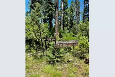 1501 N Beeline Highway #1, Payson, AZ 85541 - Photo 35