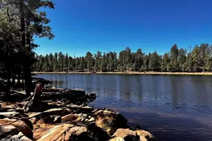 1501 N Beeline Hwy, Payson, AZ 85541 - Photo 47