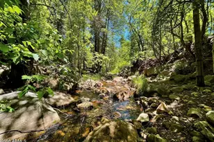1501 N Beeline Hwy, Payson, AZ 85541 - Photo 45