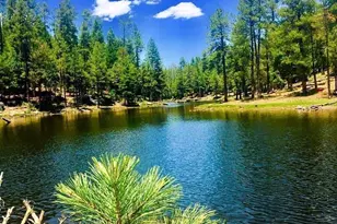 1501 N Beeline Hwy, Payson, AZ 85541 - Photo 47