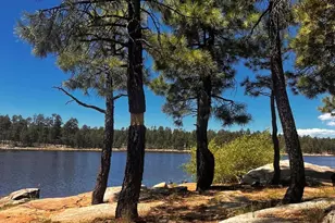 1501 N Beeline Hwy, Payson, AZ 85541 - Photo 53