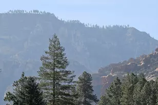 8351 N State Rte 89A, Sedona, AZ 86336 - Photo 31