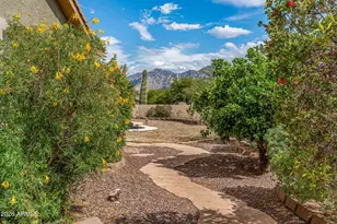 11962 N Grape Ivy Pl, Tucson, AZ 85737 - Photo 31