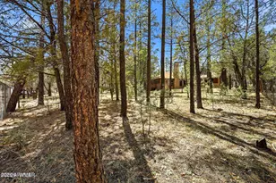 2366 Cedar Ave, Lakeside, AZ 85929 - Photo 27
