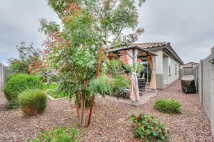 2996 W New River Dr, San Tan Valley, AZ 85144 - Photo 45