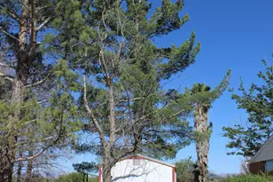 6830 N Frontier Rd, McNeal, AZ 85617 - Photo 43
