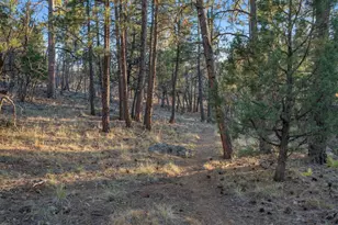 1005 W Park Way, Williams, AZ 86046 - Photo 55