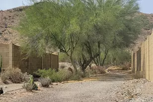 9854 S 47th Pl, Phoenix, AZ 85044 - Photo 45