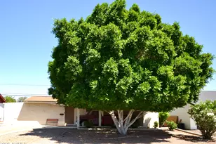 12443 N 25th Ave, Phoenix, AZ 85029 - Photo 29