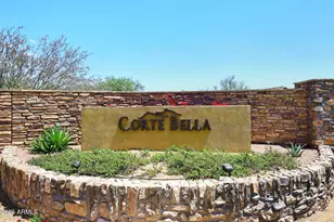 9030 E Inca St, Mesa, AZ 85207 - Photo 65