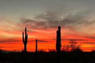 31340 N 138th Ave, Peoria, AZ 85383 - Photo 115