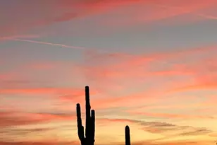 31340 N 138th Ave, Peoria, AZ 85383 - Photo 117