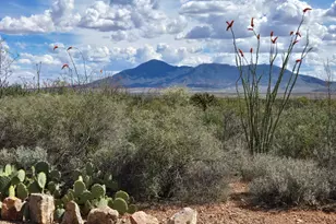 995 S Ruby Dare Rd, Bisbee, AZ 85603 - Photo 15